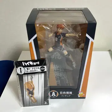 하이큐 happy 복권 히나타 쇼요 A상 I상