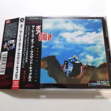 CD 오비 있음 보아 더 레이스 오브 어 사우전드 카멜즈
