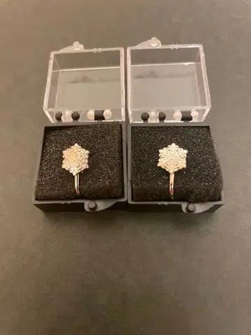 스니스트 니시키군 설백 니시키 라이브 굿즈 귀찌 2개 세트