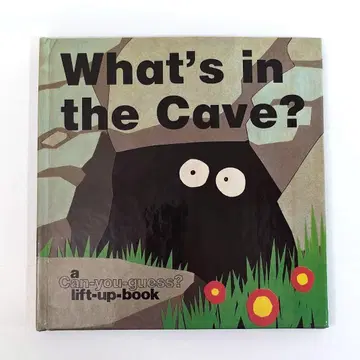 What's in the Cave? 팝업 그림책 외국도서