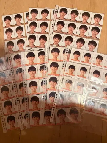 아이돌 증명사진 세트 다수