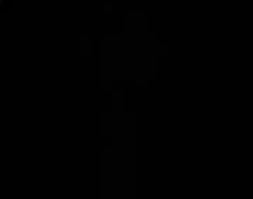 moussy 데님 MVS FLARE 24인치