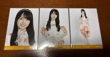 카키 하루카 브로마이드 2024 November 컴프