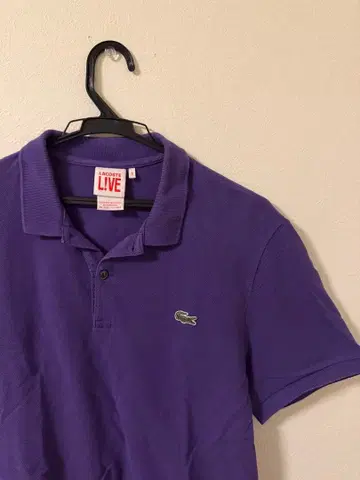 LACOSTE LIVE 퍼플 피케 셔츠