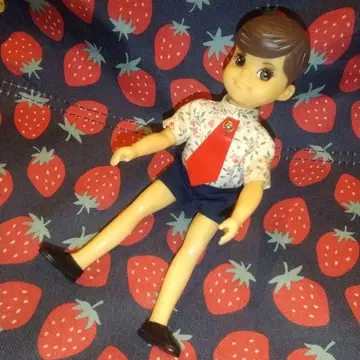 초대 리카짱 와타루 군의 남동생 고로짱 쇼와 레트로 인형