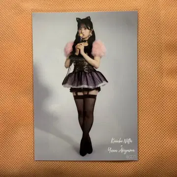 아키야마 유나 AKB48 랜덤 브로마이드 다이마루 도쿄 대 의상전