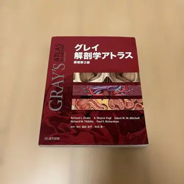 그레이 해부학 아틀라스 원저 제2판