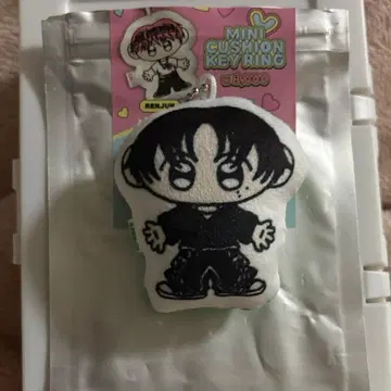 NCT DREAM TIME RIDERS 해찬 미니 쿠션 키링