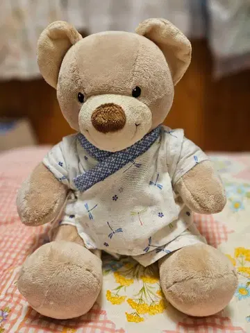 빌드 어 베어 의류 포함 곰돌이