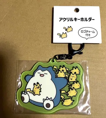 포켓몬 도망 아크릴 키링 카비곤 피카츄 참 없음