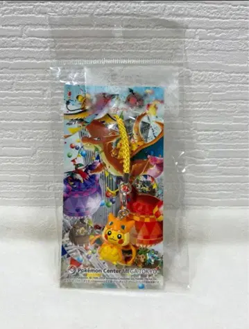 포켓몬 센터 메가 도쿄 리자몽의 판초를 입은 피카츄