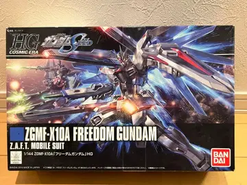 HG ZGMF-K10A FREEDOM GUNDAM