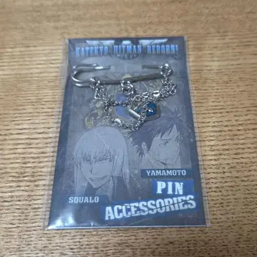 가정교사 히트맨 REBORN! 핀 액세서리 비의 수호자 리본