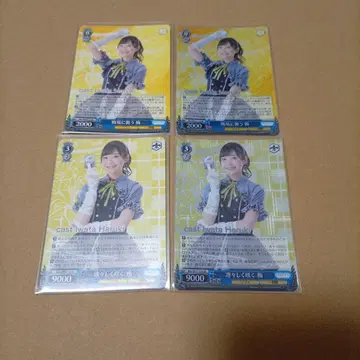 어솔트 릴리 바이스 슈바르츠 이와타 히나키 4종