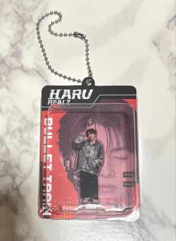 초특급 REAL 하루 랜덤 블리스터 키링 아크릴 스탠드