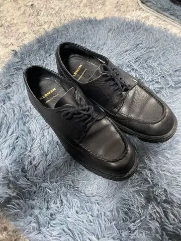 클레망 프로당 더비 슈즈