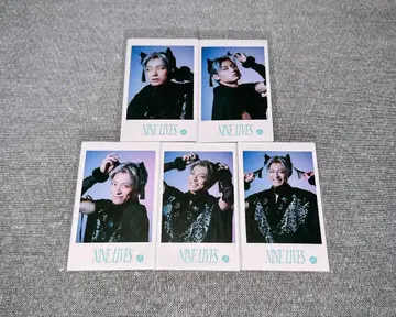 초특급 알로하 미니 사진 컴프