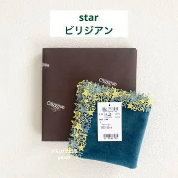 [포장 완료] 긴자와 레이스 부인화보 별주 스타 비리디안 1장