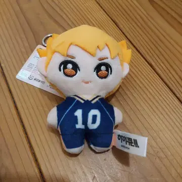 하이큐 한국 마스코트 히나타 쇼요