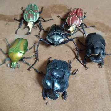 생물 대도감 금풍뎅이