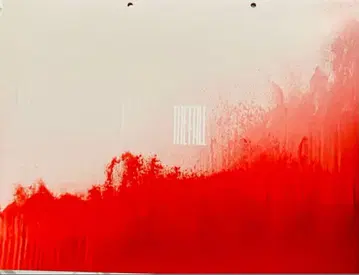 낙하의 왕국 4K 디지털 리마스터 팜플렛 일반 버전 1권