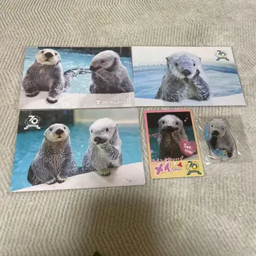 도바 수족관 컬렉션 카드 랏코 70주년 랏코 엽서 아크릴 스탠드