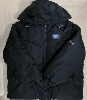 CHENQINGYI 여성용 충전솜 블루종