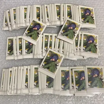 아리스가와 다이토 파샤코레 세트