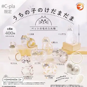 우리 아이의 털뭉치 가챠 정품 컴플리트 전 8종 시플라 한정판