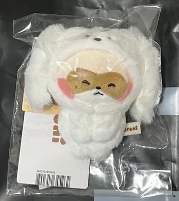 하니니 하오 zeroni zb1 봉제 인형 마그넷 제베원