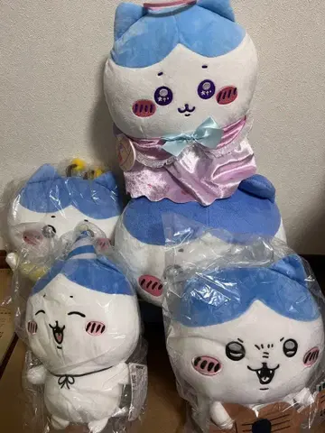 파란 모자 봉제 인형 세트