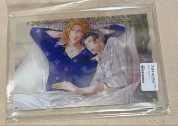 12/2까지 미개봉 봄을 안고 있었다 아크릴 플레이트