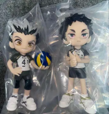 하이큐 파르베르스 보쿠토 코타로 아카아시 케이지 후쿠로다니 고등학교