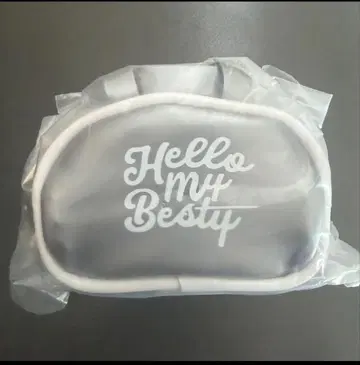 BE:FIRST 팬미니 보스턴백 아이치 실버 오사카 그린