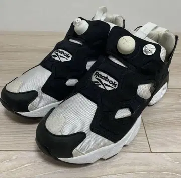 리복 펌프 퓨리