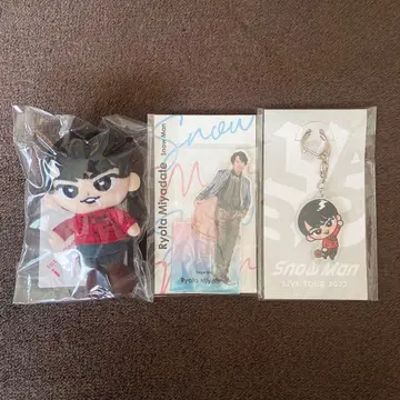 Snow Man 미야타테 료타 치루누이 아크릴 스탠드 세트