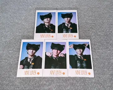 초특급 하루 미니 사진 컴프