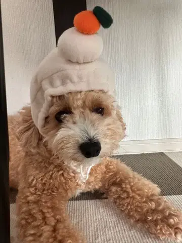 더피 가을의 모험 돗자리