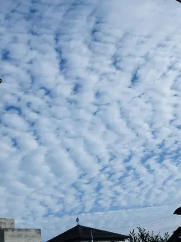 푸른 하늘과 하얀 구름 디자인