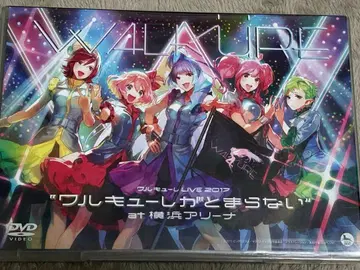 발키리 LIVE 2017 발키리가 멈추지 않아