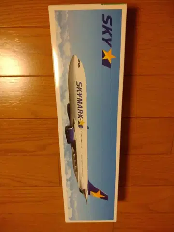 스카이마크 비행기