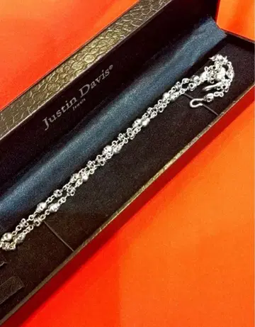 저스틴 데이비스 스컬 목걸이