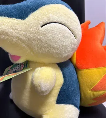 커다란 사이즈의 히노아라시 타미힐피거