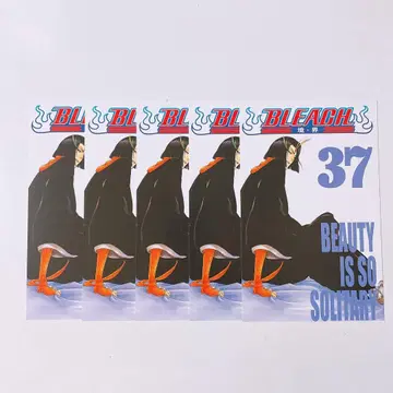 BLEACH 간체자판 MAILs. 중국 엽서 아야세가와 유미치카