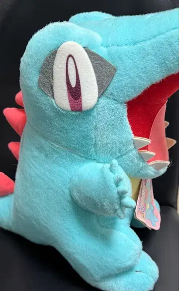 커다란 사이즈의 와니노코 타미