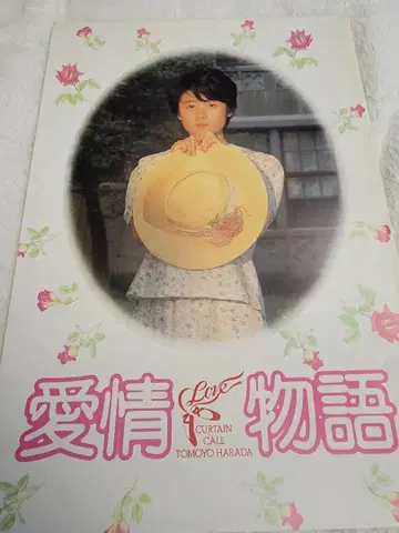 영화 하라다 토모요 [ 애정 이야기 ] 팜플렛