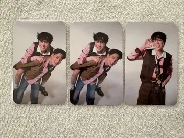 PITBABE Sailub Pon 트레이딩 카드