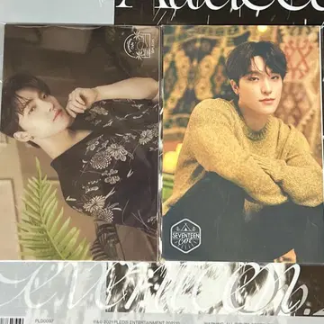 SEVENTEEN CAFE 엽서 디노