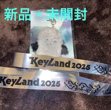 SHINee key keyland 손가락 인형 키링