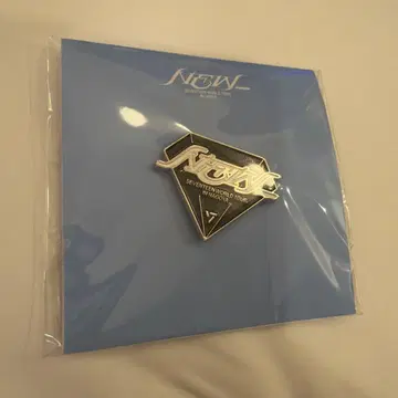 SEVENTEEN NEW JAPAN 핀 배지 핀즈 나고야